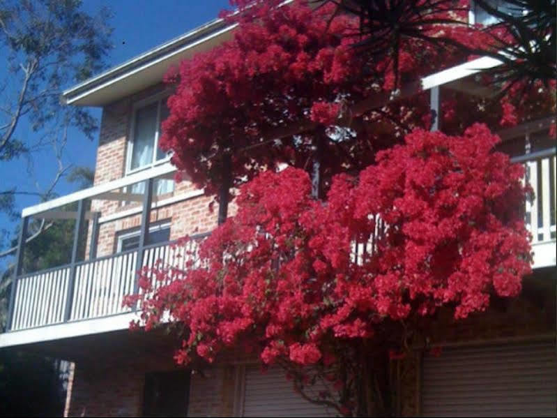 Bed and Breakfast Linley House Sídney Exterior foto